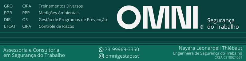 Omni Gestão em Segurança do Trabalho 