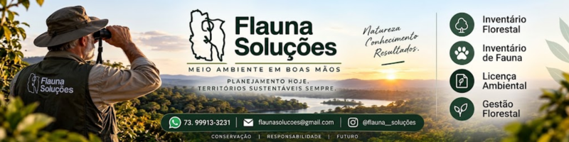 Flauna Soluções