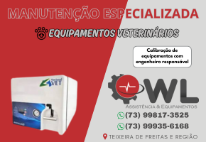 WL Assistência e Equipamentos