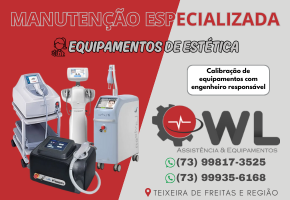 WL Assistência e Equipamentos